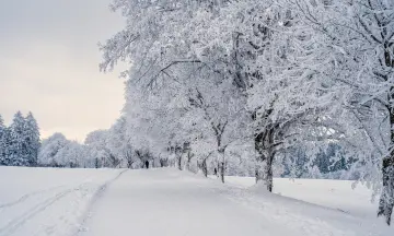 De perfecte winterse uitjes voor het hele gezin