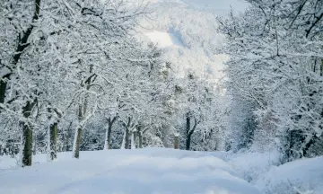 Sportieve outdoor uitjes voor in de winter