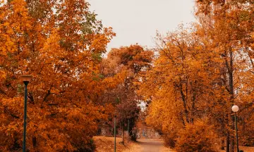 De leukste uitjes tijdens de herfst