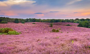 4x Leuke Activiteiten in de Veluwe