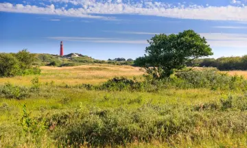 Struinen langs kwelder, duin en strand