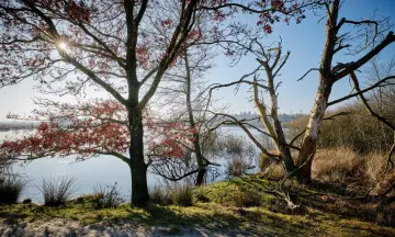 Bomenexcursie Dwingelderveld