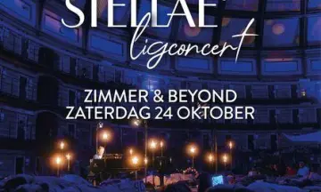 Zimmer & Beyond