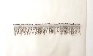 Expo Natuurlijk Gevormd