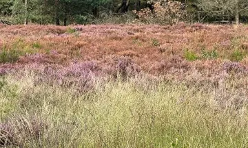 Klimaat, stikstof en natuur