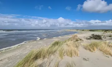 Het Groene Strand