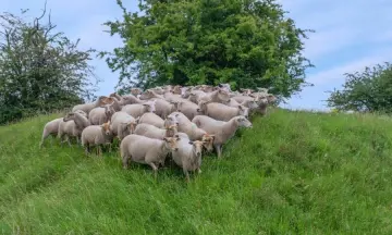 Hemelvaartdag op het fort
