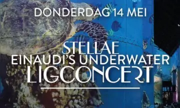 Einaudi's Underwater