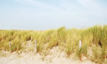 Eigenzinnige krijgerskunde