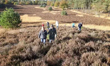 Avondwandeling met de boswachter - Reeënberg Loenen