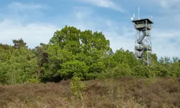 Eindejaarswandeling boswachterij Ommen