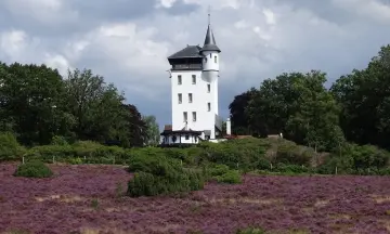 Met de boswachter op de Sprengenberg
