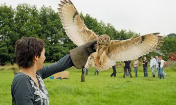 Teambuilding met Roofvogels