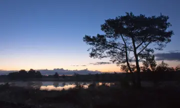 Vroege vogelexcursie Achter 't Zaand
