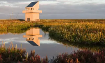 Expeditie naar vogeleiland Griend