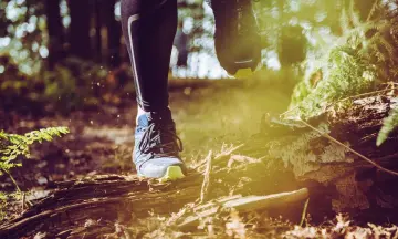 Hardloopexcursie Voornes Duin 12 km