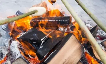 OERRR Struinen en broodje bakken met de boswachter