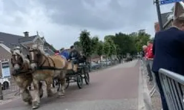 Ringsteken Norg