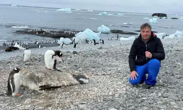 Pinguïns en de mensen