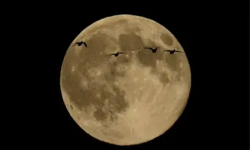 Volle maanwandeling Smeerling