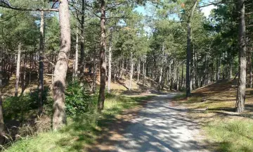 duinen fietstocht