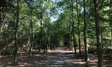 Zwerftocht over Groevenbeek