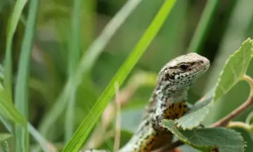 Excursie Slotplaats Natuurrijker