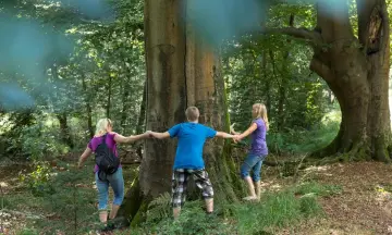 OERRR (8 t/m 12 jaar) Bomen op Veluwezoom