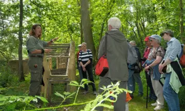 Met de boot naar de eendenkooi