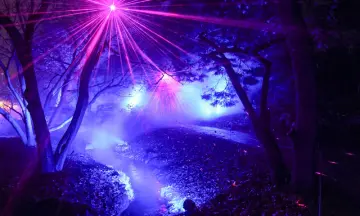 Enchanted Gardens