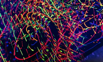 Neon Action Painting