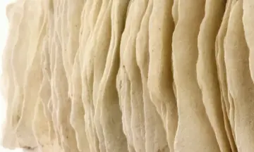 Expo glas en wandkleden