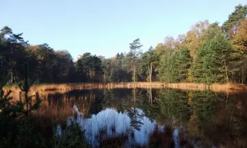 Fotografiewandeling Boswachterij