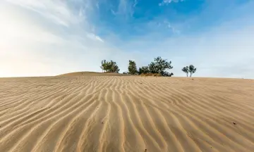 De geheimen van de Kapucijnenberg in de Loonse en Drunense Duinen