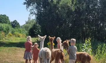 Kinderfeest bij alpaca's!