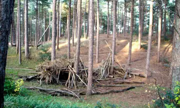 Speelbos Fonteinsnol