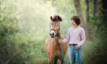 Ontdek Paardentaal