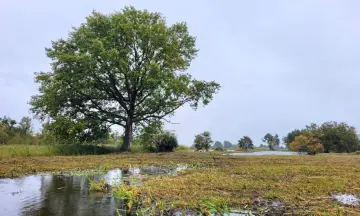 Dauwvaren door de Molenpolder