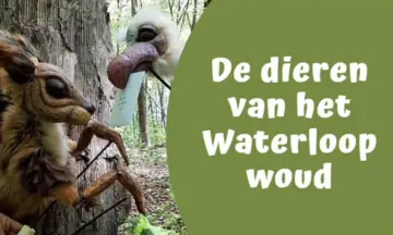 Poppentheater Spiegelbeesten