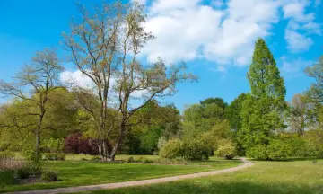 Wandel met gids door arboretum Poort Bulten
