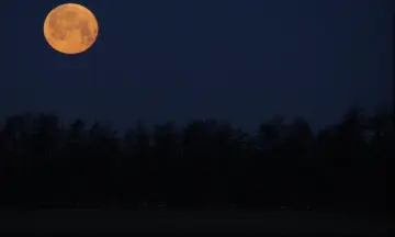 Volle maan wandeling