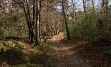 Met de gids op stap in Maart