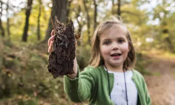 OERRR Kriebelbeestjessafari en bloembolletjes