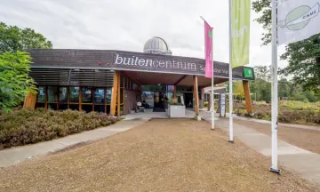 Bosfeest op de Sallandse heuvelrug