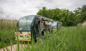 Archeologie Oostvaardersplassen met ecokar