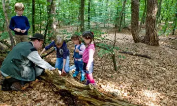 Excursie met boswachter voor kinderen