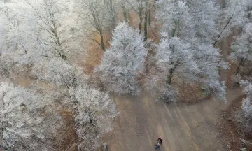 Frisse kerstwandeling in de Kaapse Bossen