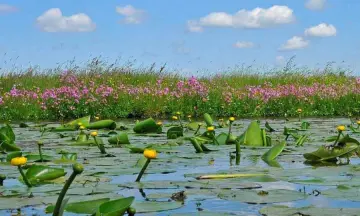 Lentewandeling Polder Oukoop
