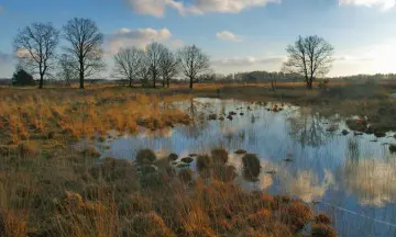 Fietstocht door de natuur van Haaksbergen