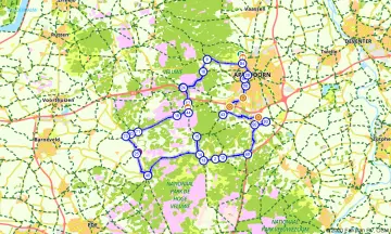 Veluwse bossen